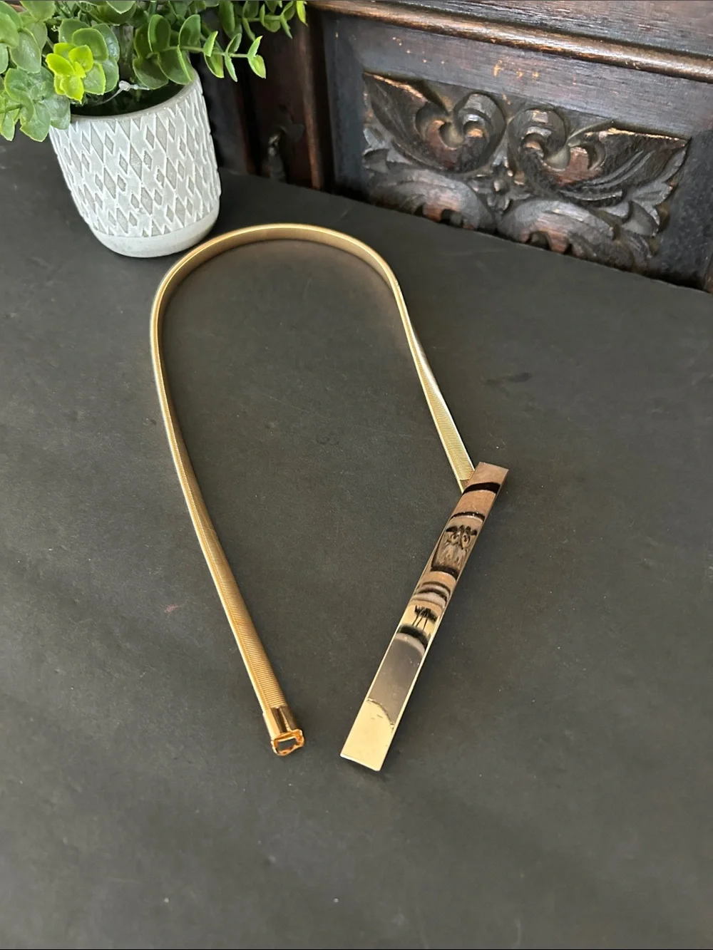 GOLD SPRING METAL BELT